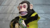 images.jpg