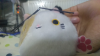 line_1541497367072.jpg