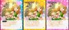 miki2016.png