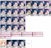 anzuaipuro1.png