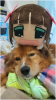 harukasandog.JPG