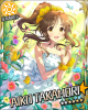 aiko+.jpg