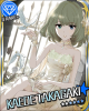kaedekyabetu.jpg