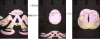 ガチャ演出.png