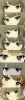 kaedeeyes.jpg