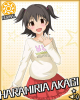 warunharamiria2.jpg