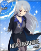 noaroid2.jpg