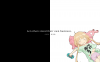 anzu_1.jpg