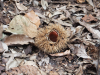 DSCF0773.jpg