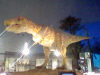 HNI_0036_MPO.JPG