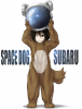 SUBARU.jpg
