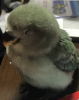 FF38BE2D-0978-4E52-B416-D5355AF76B1B.jpeg
