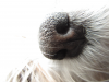 Pp14679.jpg