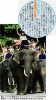 nikkan_20131107.jpg