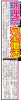 SKE48-CHUUNICHISPORTS-120521-2.jpg