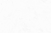 white_00081.jpg