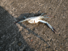 DSCN3601.JPG