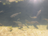 DSCN2971.JPG
