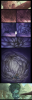 drayla_vore_repost_by_karbo-d5d5h1z.jpg
