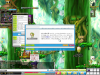 Maple120609_140706.jpg