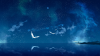 1909717410-original_animal_bird_night_original_scenic_sky_stars_tokumu_kyuu_water_reflection_mood_bokeh_1920x1080-lO3M-1371x771-MM-100.jpg