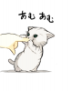 0304neko_0042.jpg