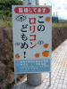 3_1_20111003182653.jpg