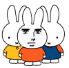 23_1.png