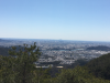 8DF2BD29-9113-4CA4-B80C-32170F5A6D96.jpeg