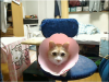 060301.jpg