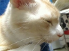 kuma-110730.jpg