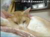 Baidu IME_2012-1-25_18-39-18.jpg
