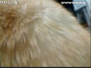 Baidu IME_2012-1-25_18-45-55.jpg