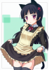 黒猫234.jpg