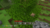 minecraft_kinokowood.jpg