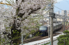 ebisaku2024-04.JPG