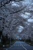 ebina2025-01.JPG
