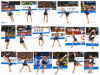 taituaut2013LP.jpg