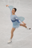 mao_butterfly_2.png