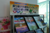 P1033485.JPG