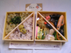 P1010048.JPG