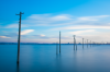_DSC5494.png