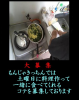 募集.JPG