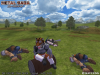 msnf_1229.jpg