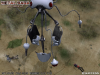 msnf_1758.jpg
