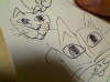 20110730_hisyogahaku.png