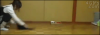 354e6687.gif