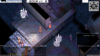 seitai1.JPG