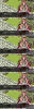 hina_okuni.jpg