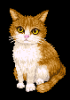 patyuritosox_1517.png